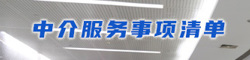 中介服務事項清單